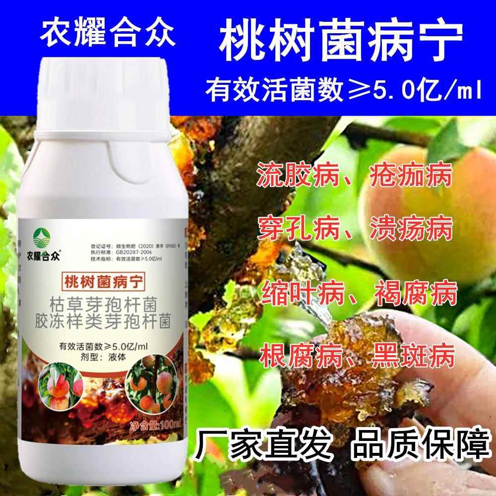 桃树流胶病专用药根腐病缩叶病伤口愈合剂桃胶病杀菌剂桃树叶面肥