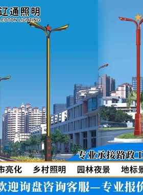 LED市电路灯8-12m城市户外防水市政道路照明高杆灯单双臂路灯