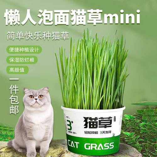 Lazy Person's Instant Noodle Cup Cat Grass for Cats - Helps