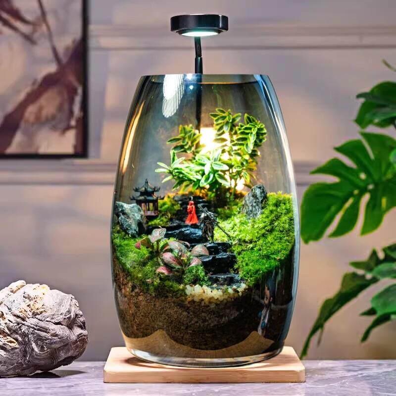 苔藓微景观生态瓶桌面造景植物创意小摆件悟空绿植玻璃生态养鱼缸