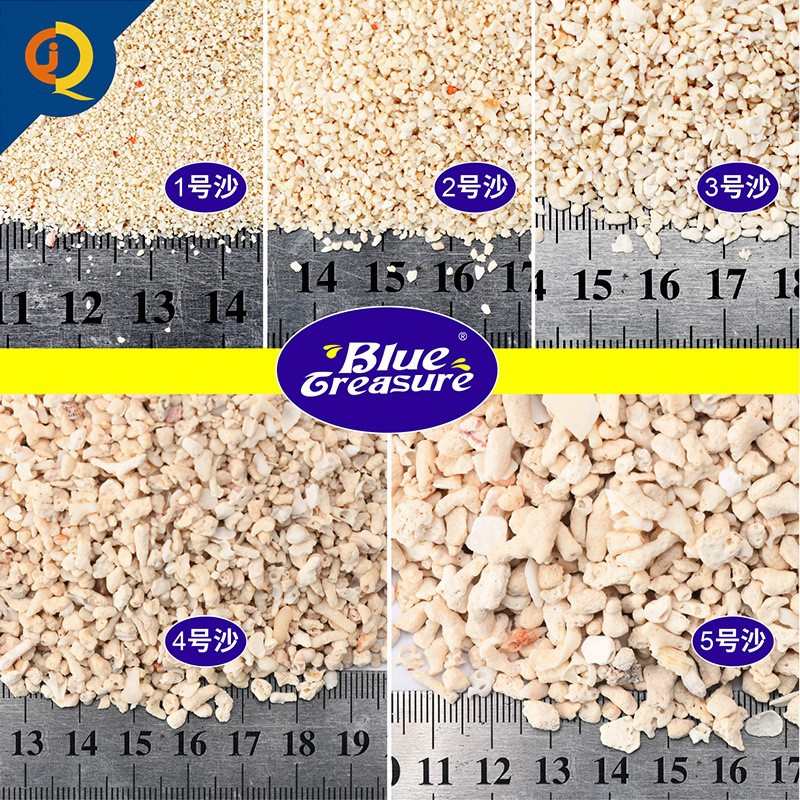 珊瑚砂粗细号 珊瑚海水蓝色海沙批次沙新珍品底鱼缸造景沙菲律宾
