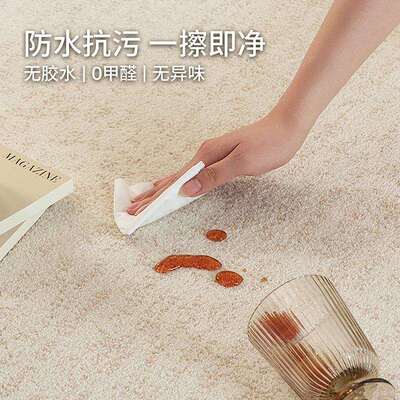 圣地丨地毯擦客厅意式简约胶防水级抗污免无洗可HPR高沙发茶几垫