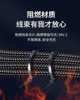 凯士士（KSS）CV系列 尼龙扎线带黑色CV-500B 黑色 CV-500 本色