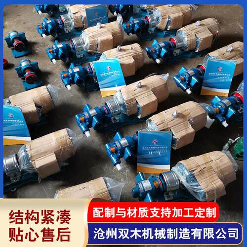 厂家供应蠕动泵齿轮油泵440V60HZ润滑油驳运2CY3.3/0.33齿轮泵