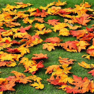 单片枫叶秋天落叶仿真叶子假树叶单个叶片黄色叶子婚庆橱窗装饰叶