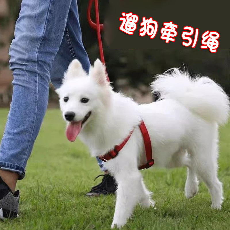 狗狗牵引遛狗绳子背带狗牵引绳