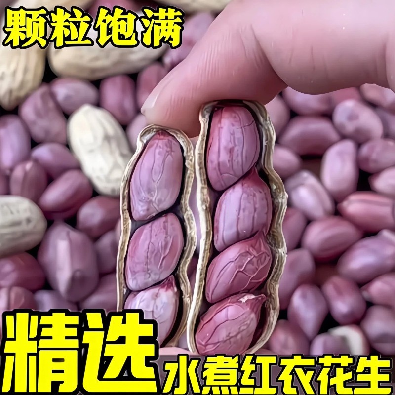 龙岩湿烤红衣原味花生水煮五香酥脆咸干紫衣四粒红晒干带壳花生米