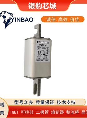 170M3268 170M3269 170M3270 170M3271 170M3272 170M3273熔断器