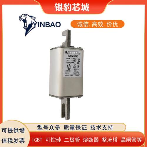 170M3268 170M3269 170M3270 170M3271 170M3272 170M3273熔断器