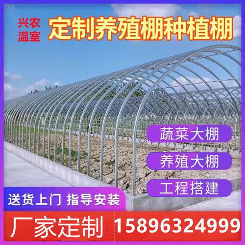 椭圆管温室大棚养殖蔬菜保温种植简易连栋棚全套热浸镀锌钢管骨架