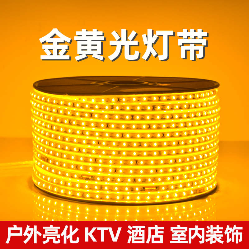 灯带led金色超亮户外工程亮化防水外墙专用220V酒店KTV暖黄光灯条