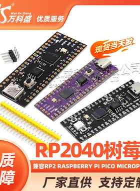 RP2040树莓派核心板兼容RP2 Raspberry Pi Pico Micropython