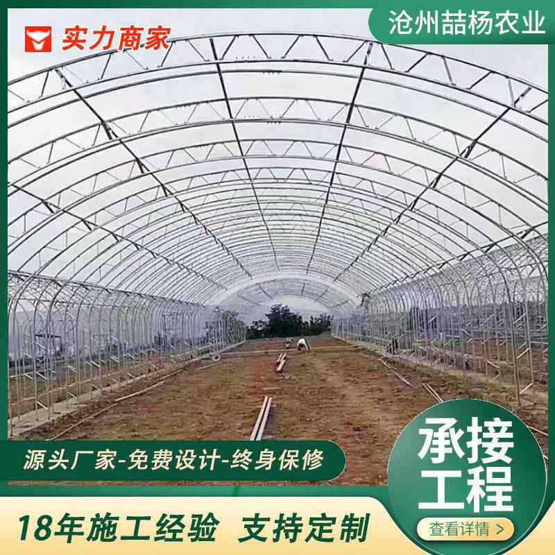 双膜骨架大棚 C型钢骨架大棚 双拱双膜大棚 种植大棚 养殖大棚