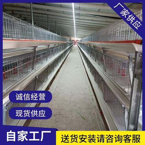 鸡笼肉鸡笼全自动半自动立式肉鸡笼养殖场用自动肉鸡笼H型肉鸡笼