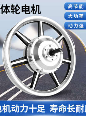 电动车代驾车电机14寸36V48V350W400W碟刹动力前后驱轮毂高速电机