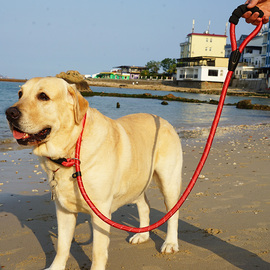 狗绳中大型犬狗狗遛狗绳子，项圈狗链子p链牵引绳金毛拉布拉多用品