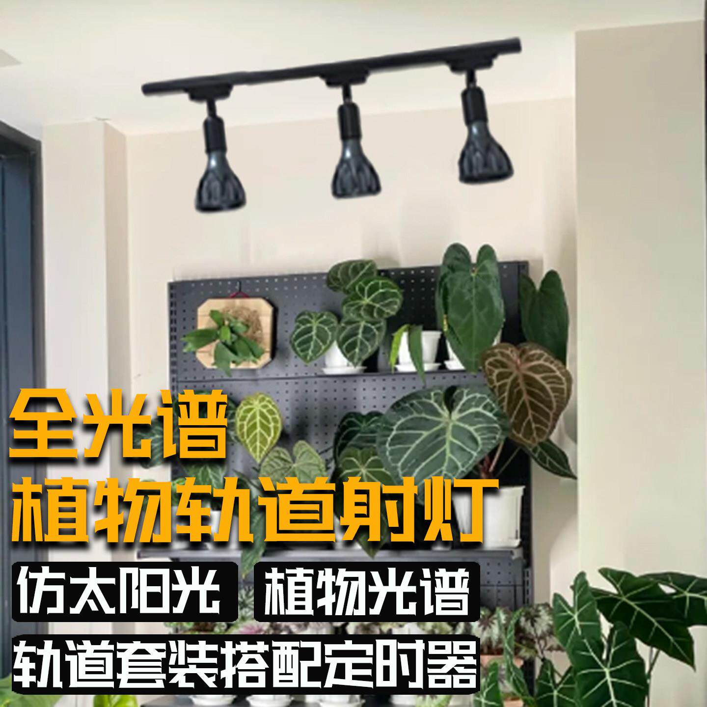led全光谱植物补光灯块根龙舌兰鹿角蕨多肉热植生长灯鱼缸爆藻灯