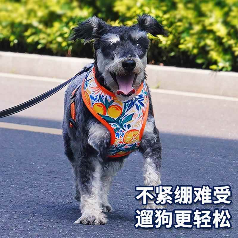 狗狗胸背带外出中小型犬背心式透气宠物遛狗绳小狗柯基柴犬牵引绳图片
