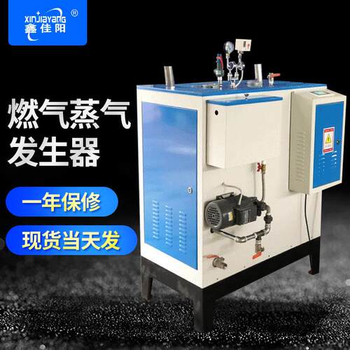 燃气蒸气发生器 RQ一100立式加热蒸汽锅炉商用小型蒸汽发生器