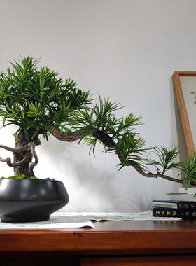 新中式迎客松盆景摆件样板房玄关茶室茶楼松树盆栽装饰品景观摆设