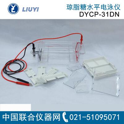 DYCP-31系列琼脂糖水平电泳仪电泳槽