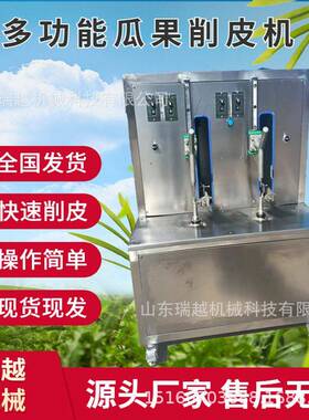 大型商用柿子苹果削皮去核机小香梨多功能削皮机工业芒果削皮机