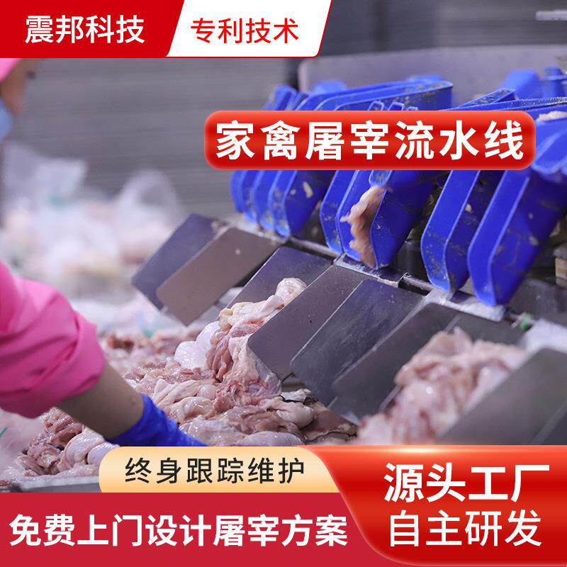 震邦机械鸡脱毛机屠宰设备自动宰鸡线报价家禽屠宰设备厂家
