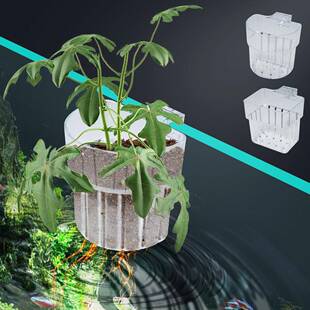 鱼缸透明挂壁式水培植物篮 植物固定神器种植杯造景装饰绿植挂篮