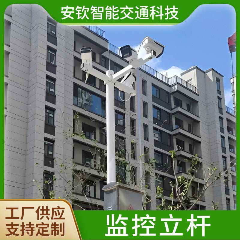厂家直供道路交通监控立杆园林景区柱装监控器电子摄像头监控杆