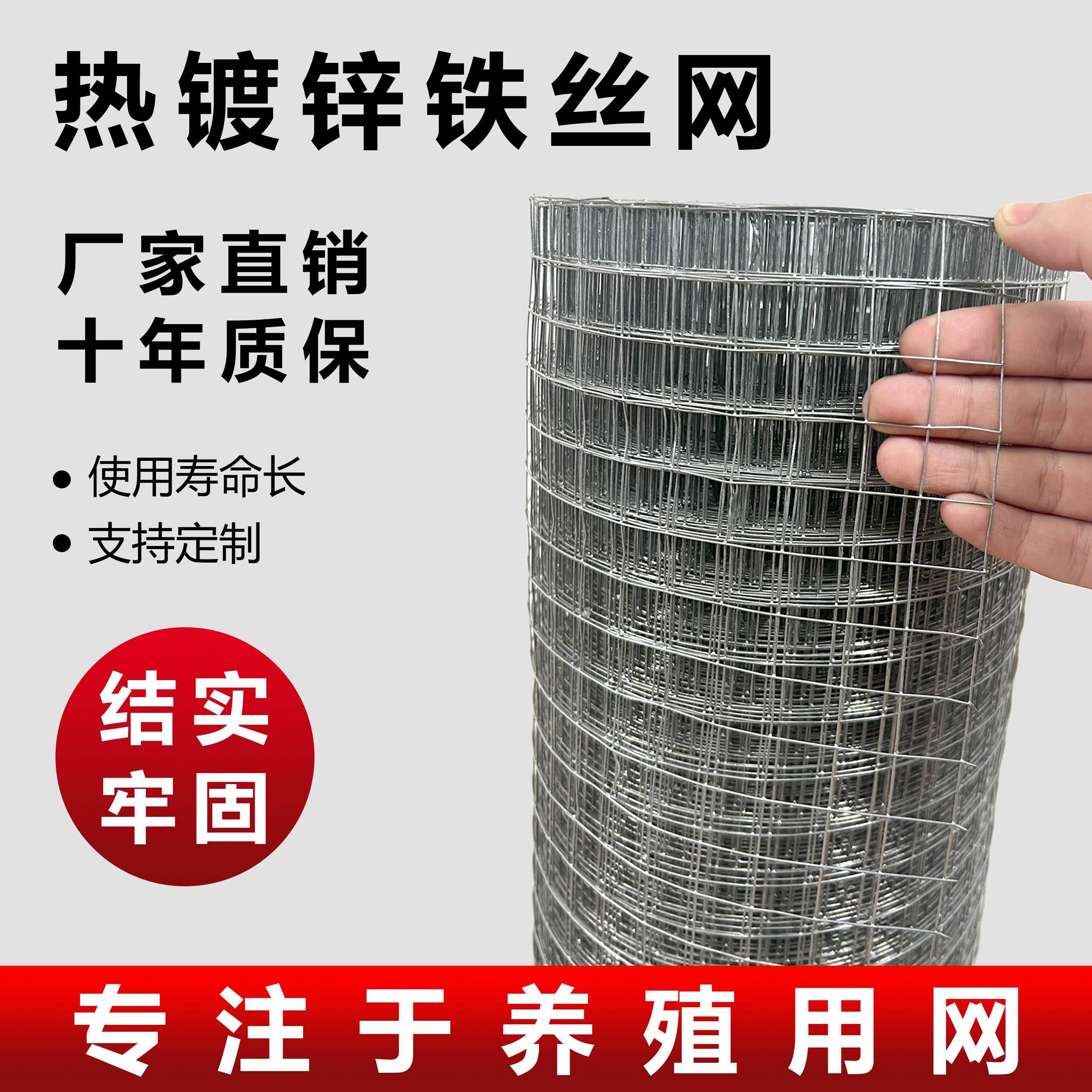 热镀锌电焊卷网铁丝网养殖网栅栏钢丝防护养鸡圈鸭网电焊网片