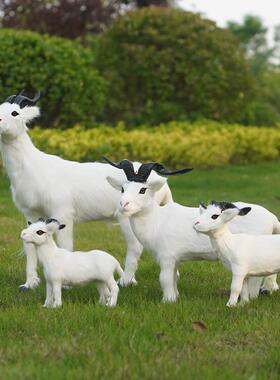 羊皮彷真山羊绵羊动物模型商超奶粉店橱柜装饰摆件教学道具工艺品