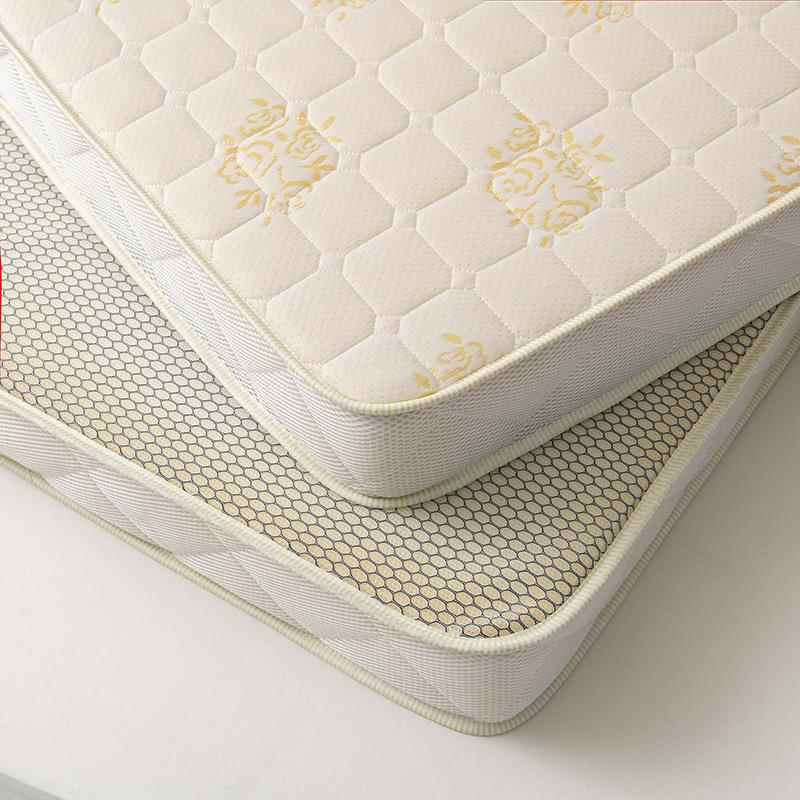 乳胶海绵记忆棉加厚床垫榻榻米地垫宿舍睡垫超软铺底