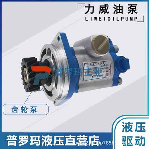 合肥力威1032300004转向泵中联重科浦沅吊车动力泵QC32/13-WP-PY