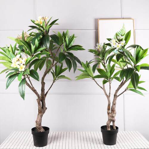 现货仿真鸡蛋花树民宿植物庭院造景假树盆栽假绿植仿真花树真