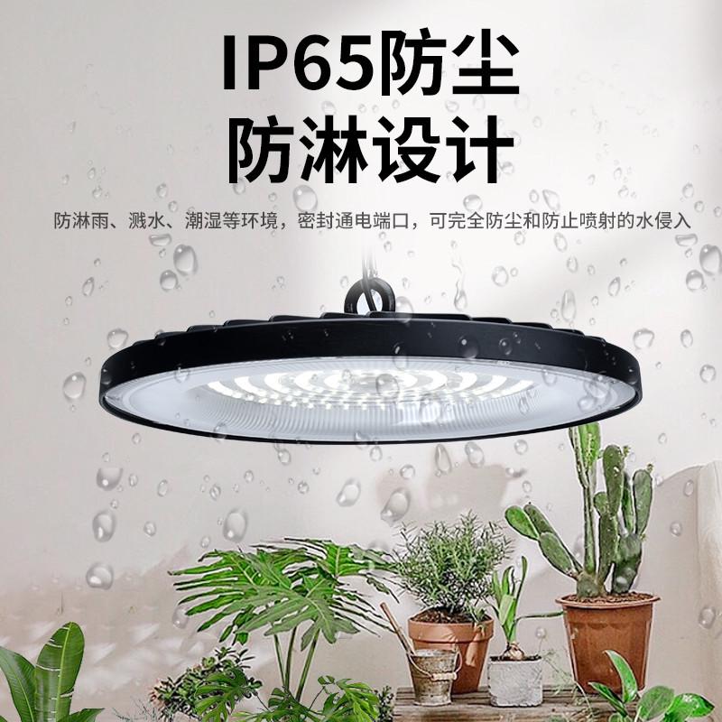 室内全光谱植物补光灯阳台仿太阳光照模拟灯花卉绿植三角梅生长灯