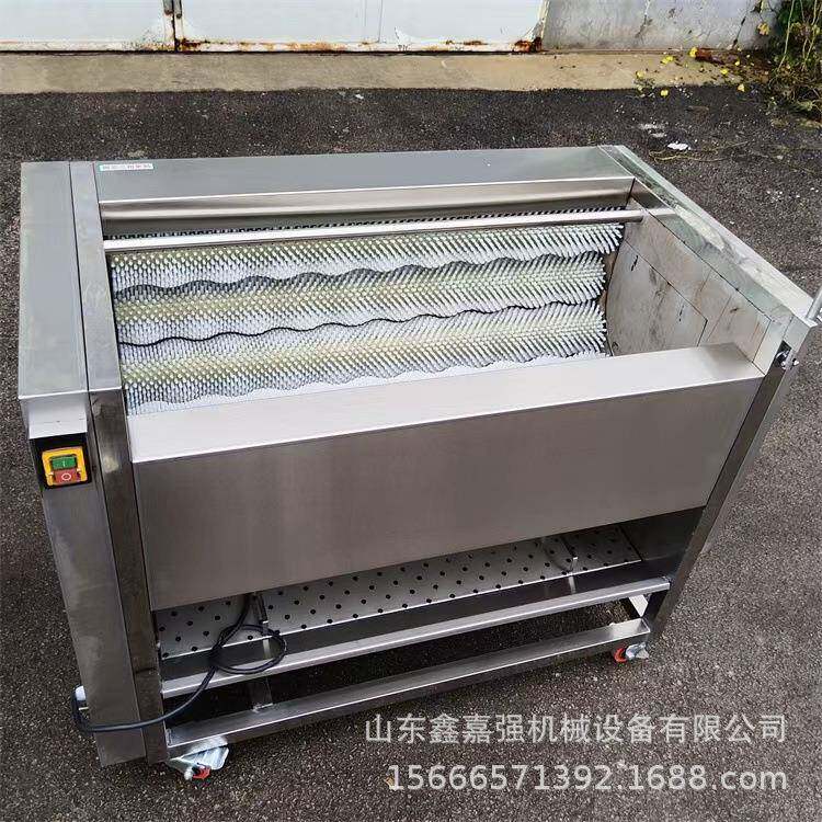 药材根茎毛辊清洗机海鲜扇贝刷洗设备水果蔬菜毛刷清洗机器