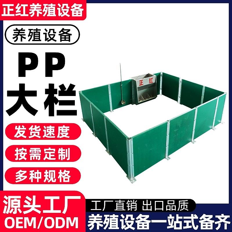 正红养殖设备养殖场猪场PP板PP大栏育肥猪围栏养殖场猪围板
