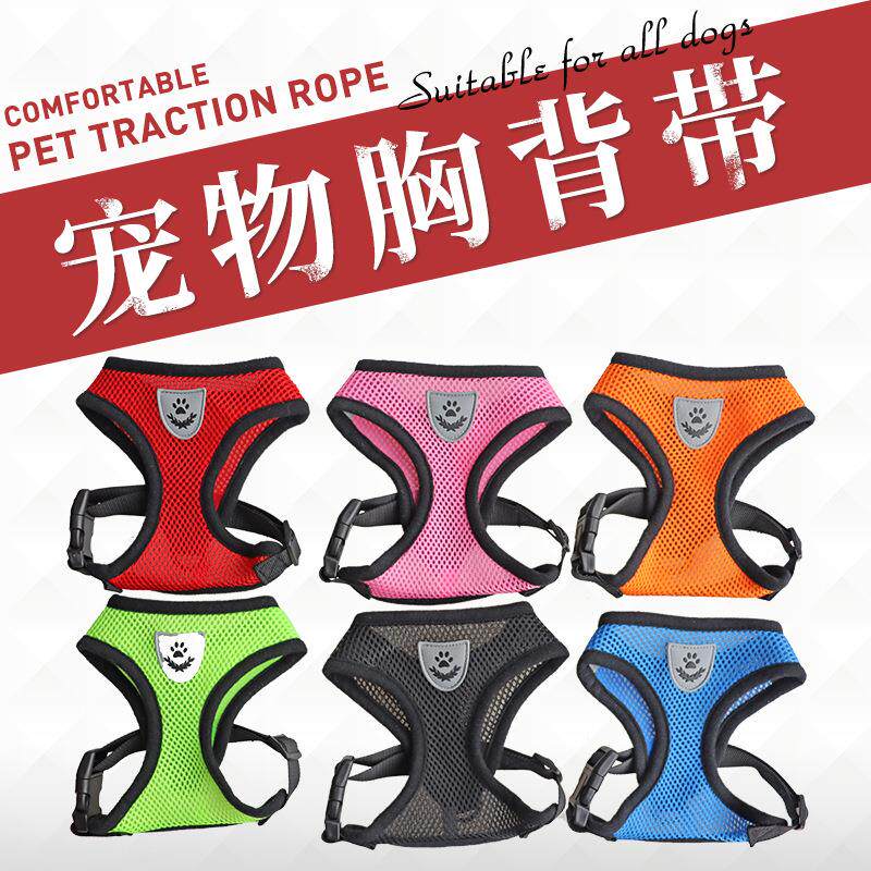爆款宠物背带 防爆冲宠物用品网眼胸背带 时尚仓鼠牵引绳套装