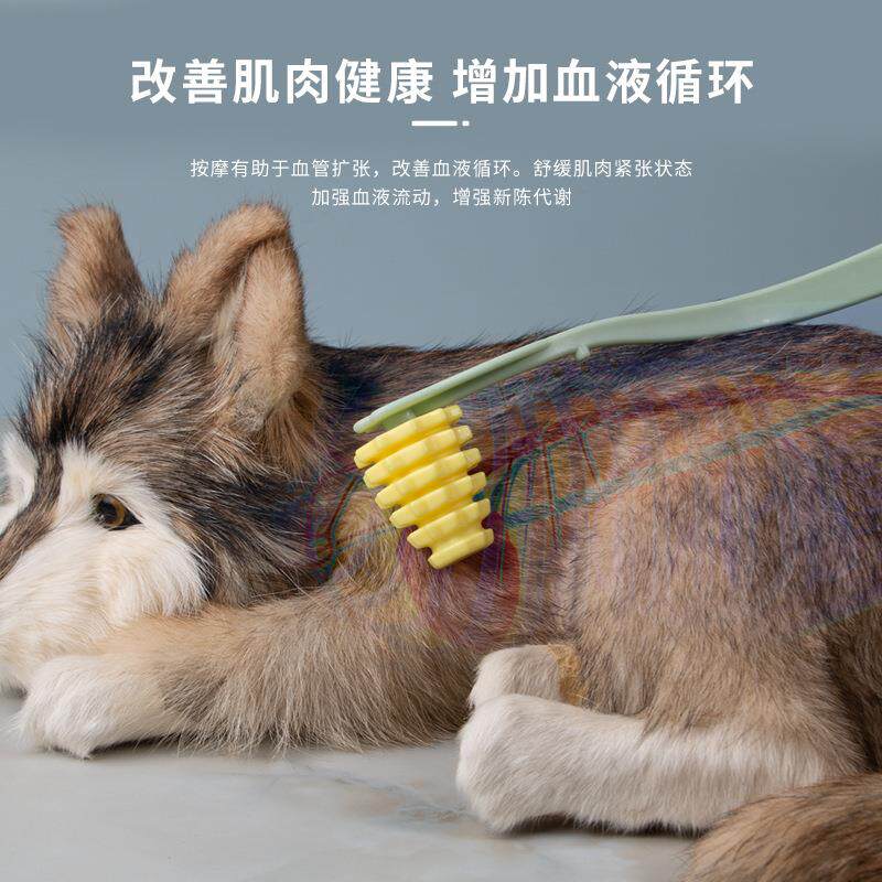 宠物猫狗按摩器疏通经络刷血液循环猫狗按摩滚轮刷子洗澡按摩梳子