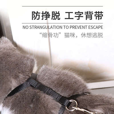 猫咪洗澡神器洗猫剪指甲防抓防咬固定器宠物美容桌拴猫绳子防挣脱