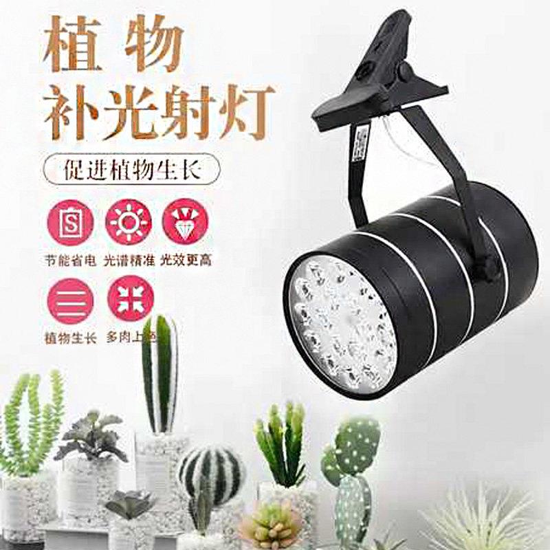 植物灯生长灯全光谱夹子射灯多肉上色家用室内阳光补光灯照射灯