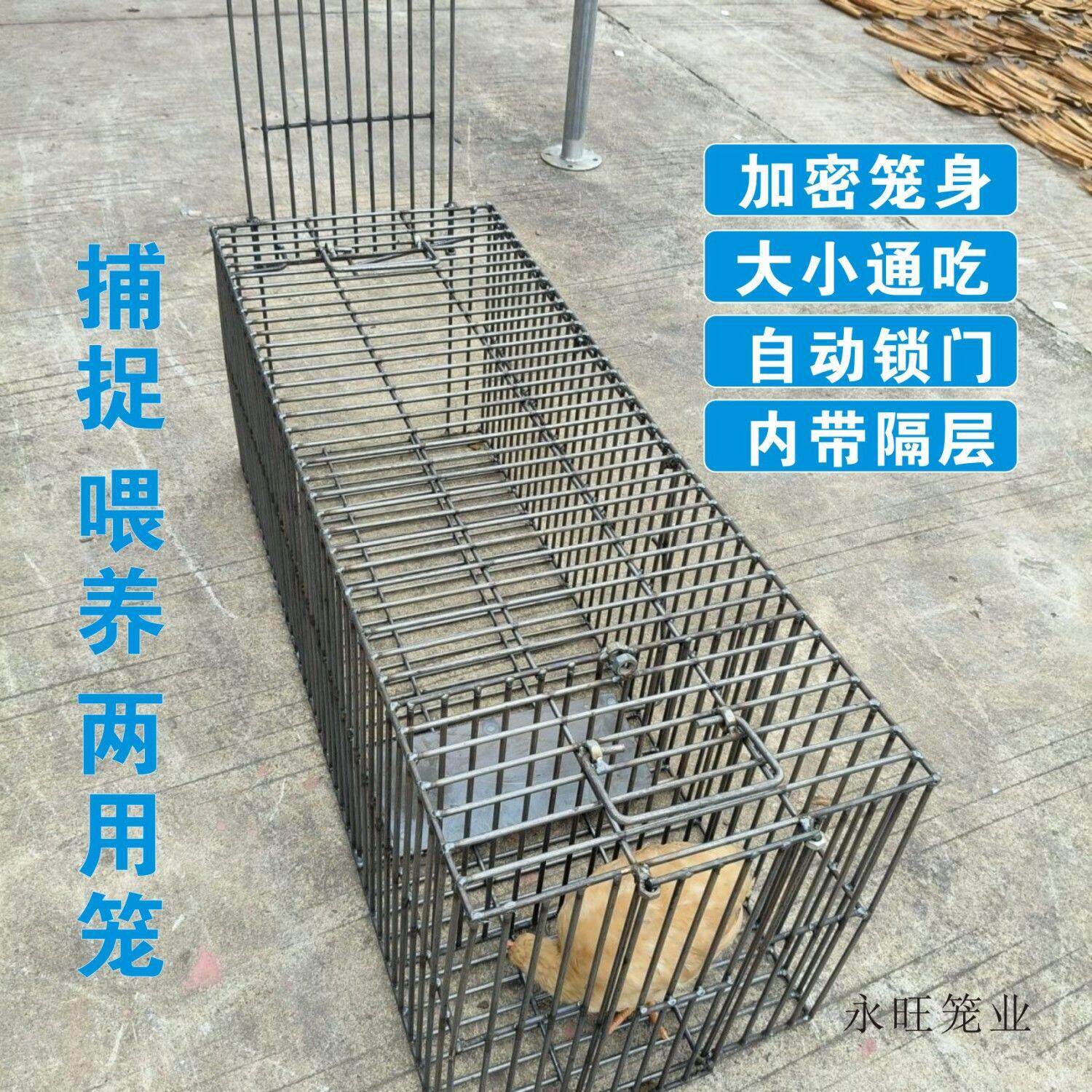 加粗钢筋全自动捕捕捉笼铁笼猪笼狗笼鸡笼鸭笼猫笼鼠笼喂养两用笼
