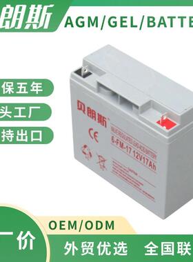 S312/17铅酸蓄电池S300系列Powerfit胶体电池GNB同款厂家