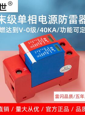 顶世浪涌保护器家用2P40KA末级单相电源防雷器电涌保护器避雷器