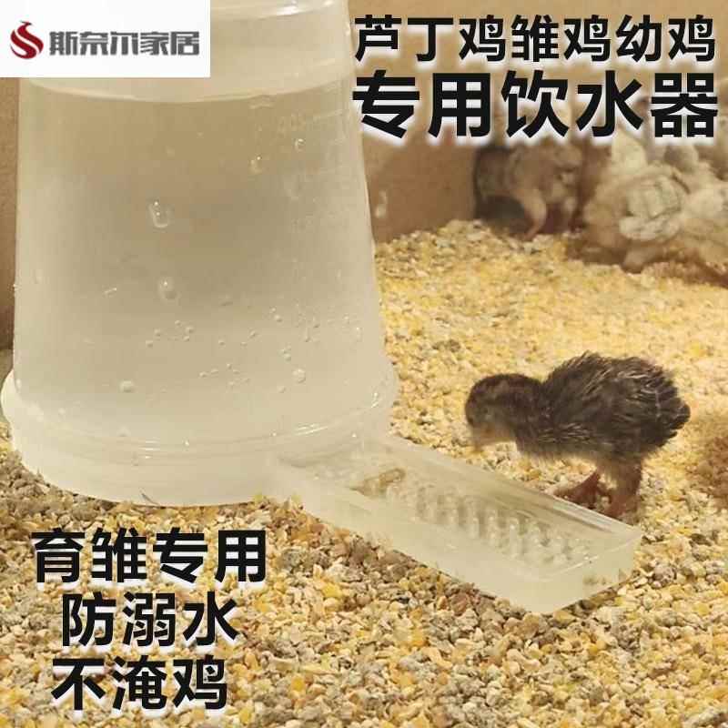 芦丁鸡饮水器卢丁鸡雏鸡幼鸡喂水器自动水壶小鸡鹌鹑喂食器喝水器