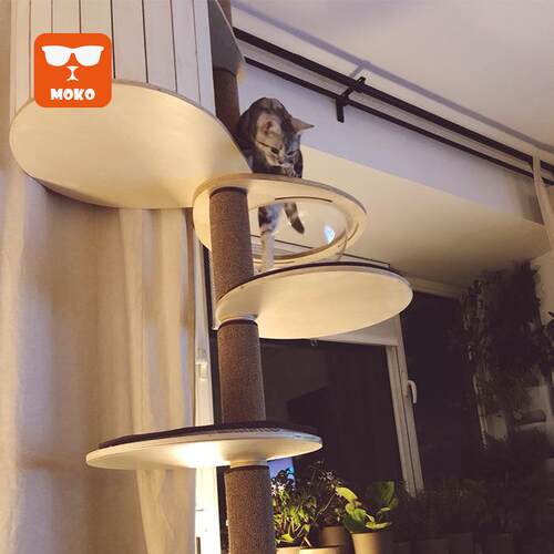 moko猫爬架通天柱猫猫架顶天立地一体猫抓板猫窝家具猫树