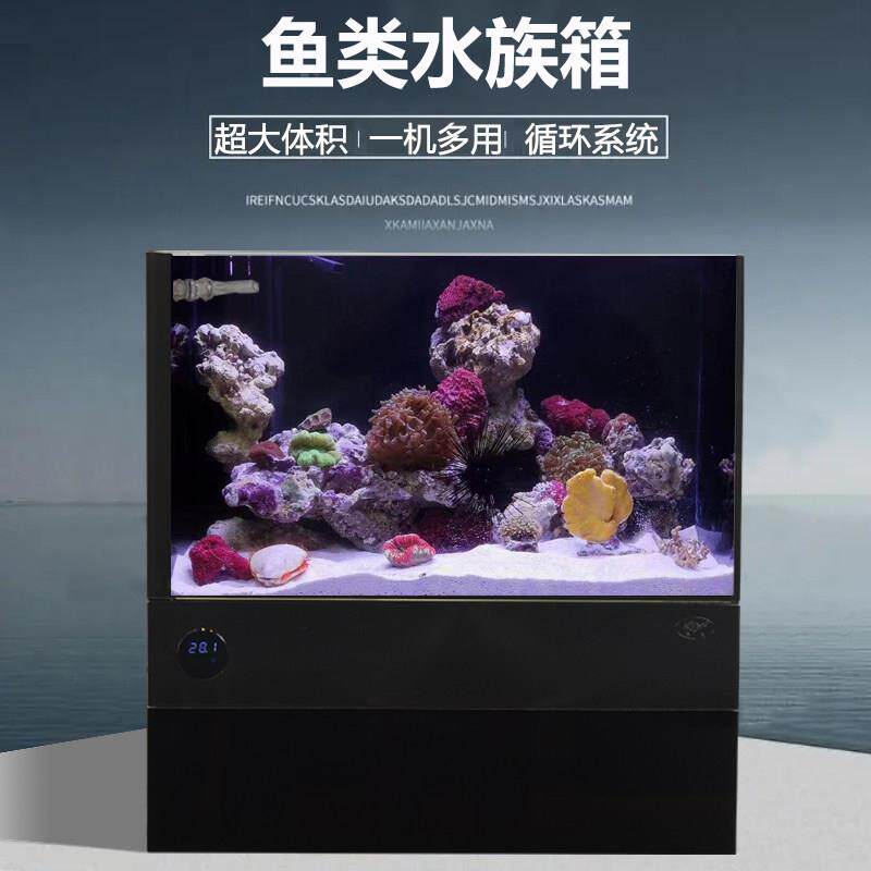 金晶超白玻璃底滤一体鱼缸小型海水缸懒人免换水生态鱼缸水族箱