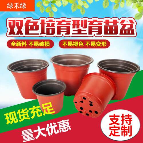 双色盆营养杯育苗杯加厚多肉盆室内盆栽塑料大号育苗盆摔不坏花盆