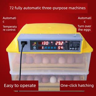 高端全自动保温箱保温箱保温箱保温箱小型浮动机伏特养鸡机家用