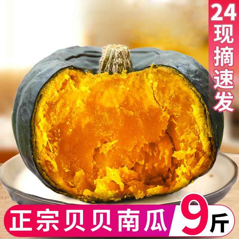 贝贝南瓜正宗板栗味南瓜小南瓜新鲜婴儿宝宝辅食粉糯香甜粗粮